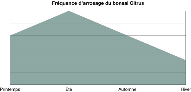 Fréquence d'arrosage bonsai citrus