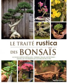 Le traité rustica des bonsais