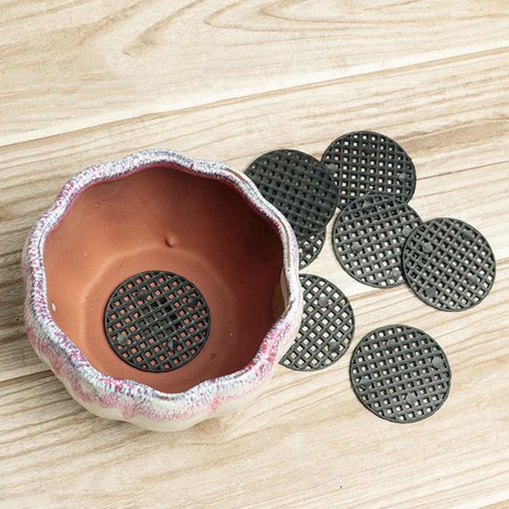 Outils et matériels pour l'entretien du bonsai Maitre Bonsai