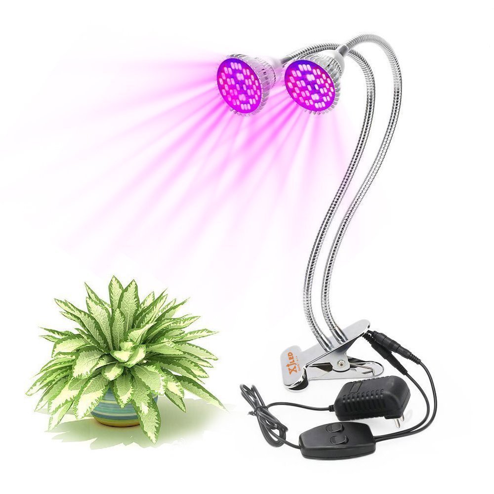 Outils et matériels pour l'entretien du bonsai Maitre Bonsai