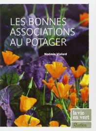 Les bonnes associations du potager