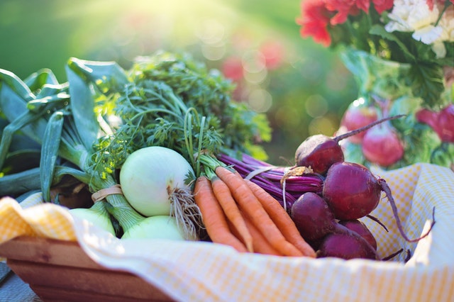 Meilleurs livres sur le potager