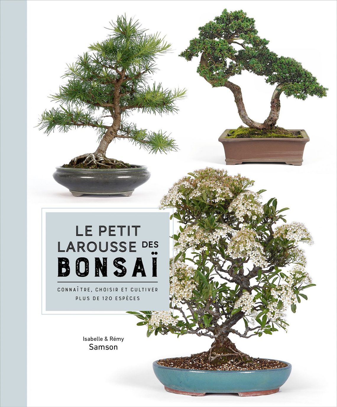 Sélection des meilleurs livres sur le bonsai Maitre Bonsai