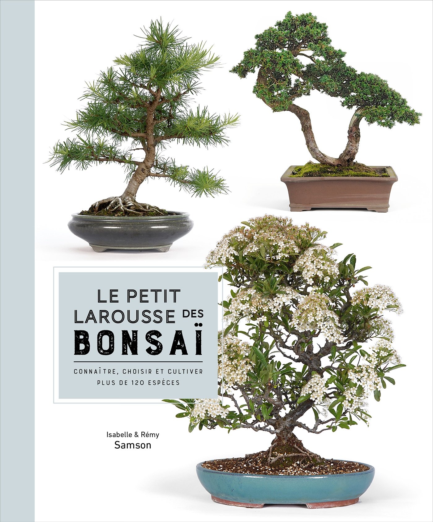 Livre « Les bonsaïs » main image 1