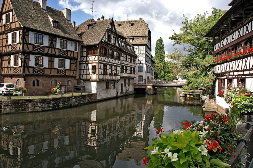 Bonsai Strasbourg (Bas-Rhin)